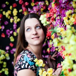 ���������, 41 ���, ����������