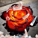 ���� ������, ������������ - ��������� 20 ����� 2025 � ������ ���� ����������