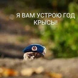 ,  , 62 