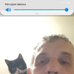 ����, 44 ����, ������