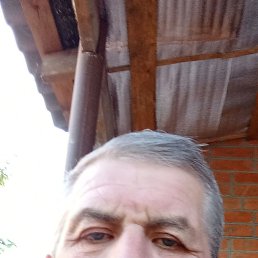 , 61 , 