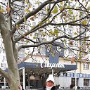 ���� �������, ���������, 67 ��� - ��������� 7 ������� 2025