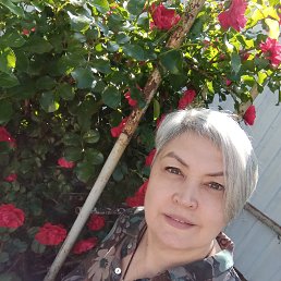 , 51, 