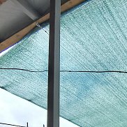 ����� ��������., 55 ���, ����