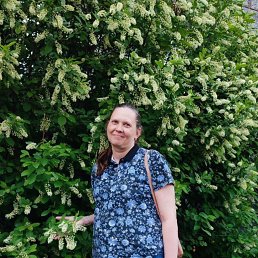 ������, 44 ����, ��������