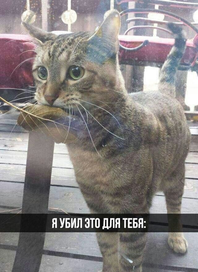    - 12  2023  16:23