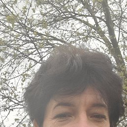 , 44, 