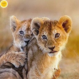 ���� ���� �������, ������, 48 ��� - ��������� 24 ������ 2023