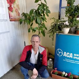 ����, 48 ���, ��������