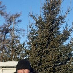 ������, �����������, 63 ����