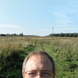 , 40, 