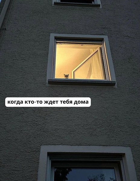 ��� ���� � ����� �� �� - 11 ������� 2025 � 18:33