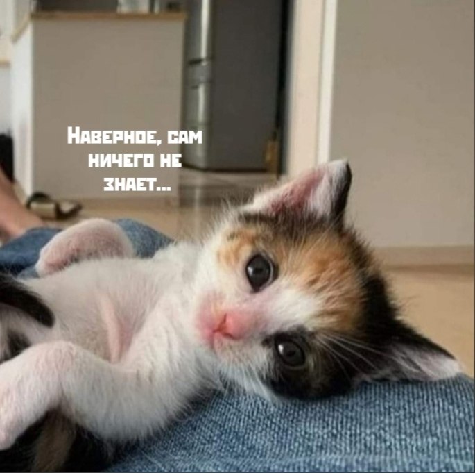 ��� ���� � ����� �� �� - 3 ������ 2026 � 12:00 - 3