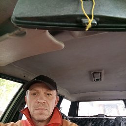 , 53, 