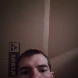 , 29, 