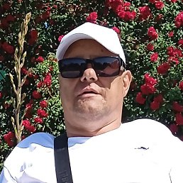 , 48, -