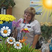 ����, 37 ���, ���������