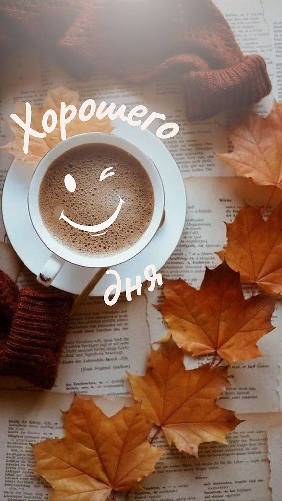   ,    . - 9  2025  13:04 - 4