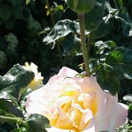 ���� �������, ������, 44 ���� - ��������� 6 ������ 2026