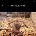 ���� Maftuna, ������ - ����, 23 ���� - ��������� 9 ��� 2026 � ������ ���� ����������