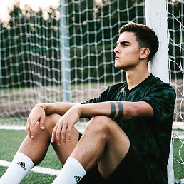 �������, 36 ���, ���������