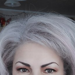 ���� ���������, ��������� - ��������� 8 ������ 2024