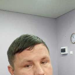 , 34, 