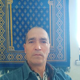 , 59, 