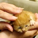 ���� Vladimir, ������, 68 ��� - ��������� 26 ������� 2023 � ������ ���� ������� ������ - ������!�