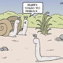 ���� ��������, ����������, 71 ��� - ��������� 30 ������ 2026 � ������ ������ ��������