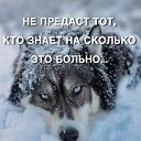   -  , , 43  -  12  2024    