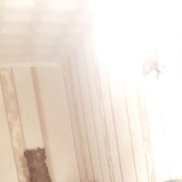 ������, 36 ���, ����