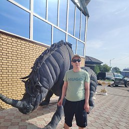 �����, ��������, 34 ����