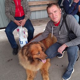 ������, �������, 44 ����