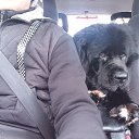 ���� ���������, ��������������, 41 ��� - ��������� 5 ������� 2024 � ������ ���� ����������