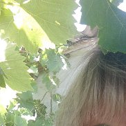 �������, 48 ���, ������