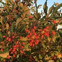 ���� ����, ���������, 42 ���� - ��������� 25 ������� 2024 � ������ ���� ����������