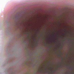 ,  , 19 