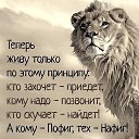 ���� Andrey, �����-��������� - ��������� 12 ������� 2026 � ������ ������ ��������