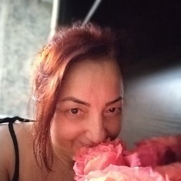 , 59, 