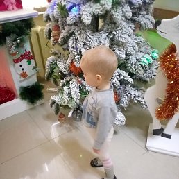 �������, ���������, 33 ����