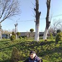  David,  -  8  2024    