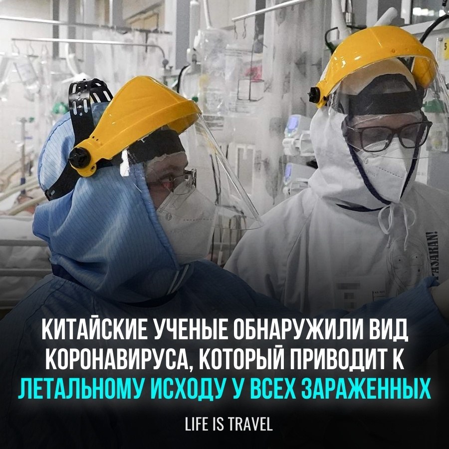 В начале месяца китайские ученые выпустили статью о варианте коронавируса, который вызывает 100% ...
