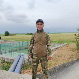 , 41, 