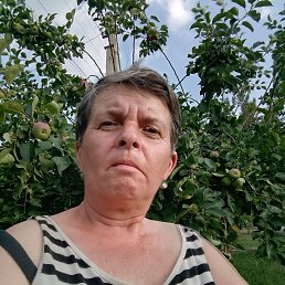 , 53, 