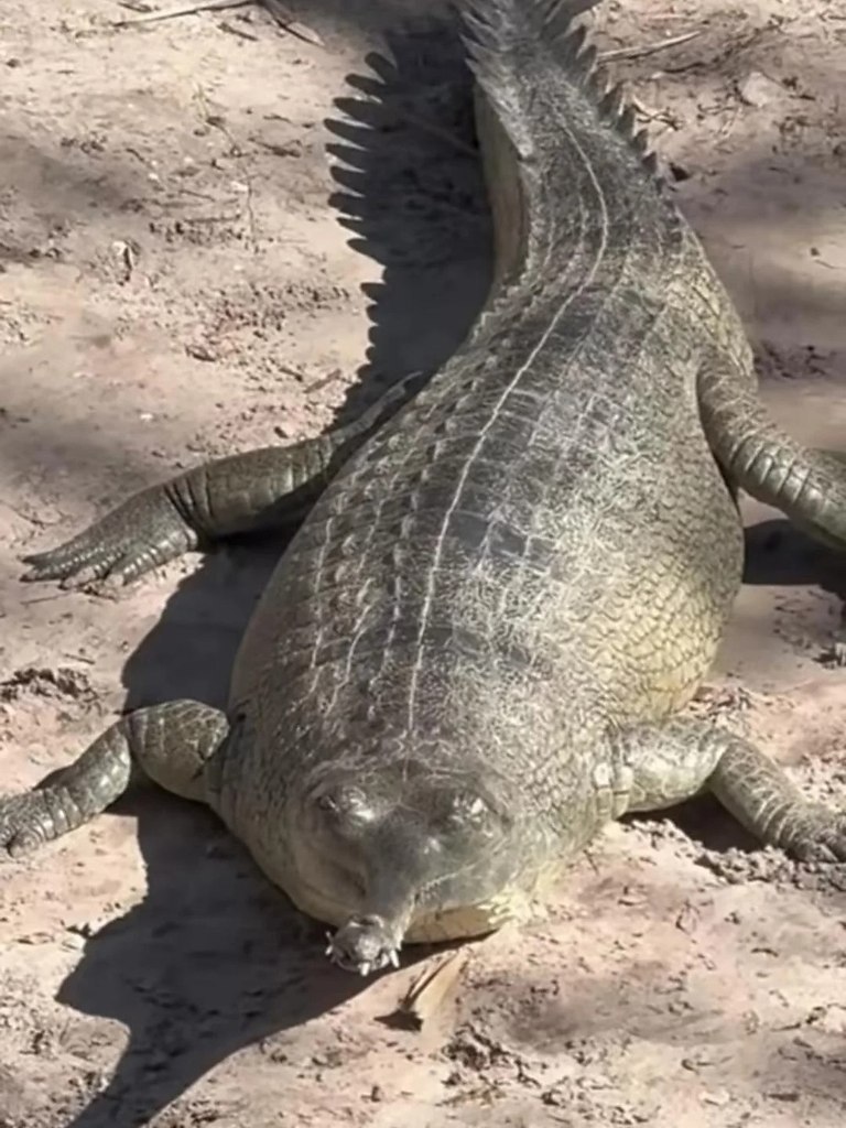  ,   ,     .  ,    ...