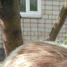 �����, ������, 53 ����