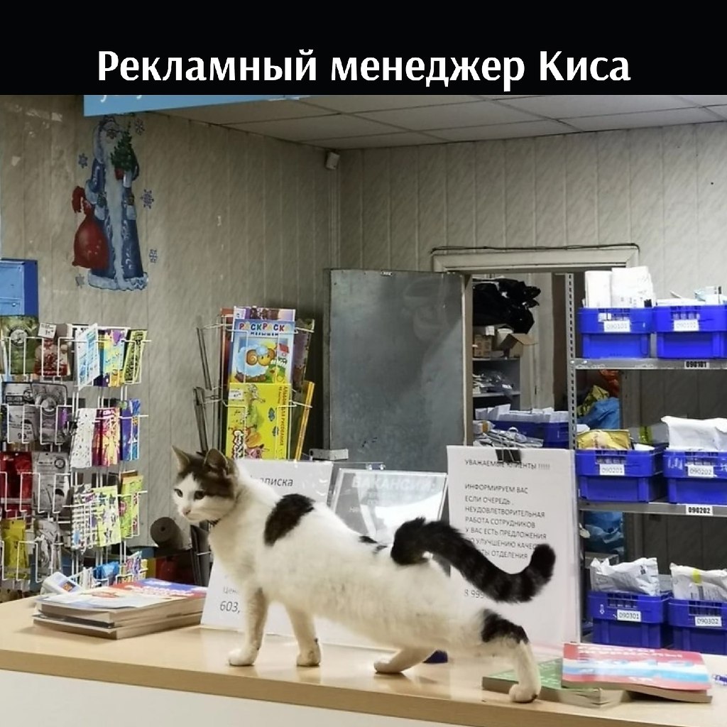 ��� ���� � ����� �� �� - 22 ����� 2026 � 18:00 - 2