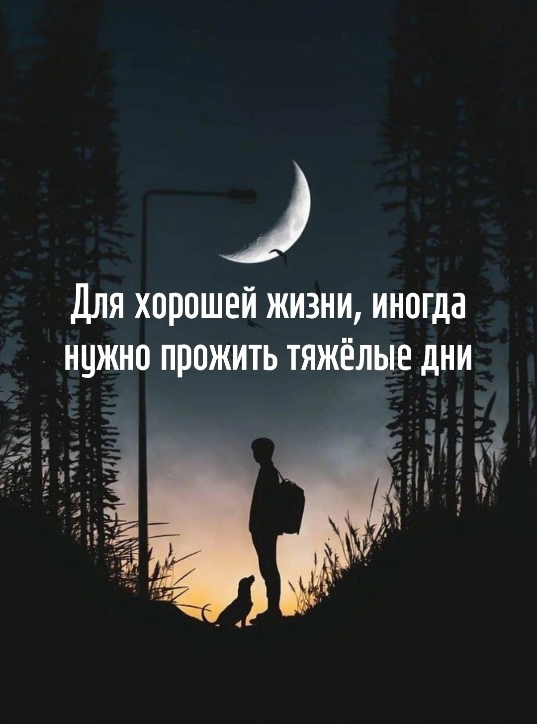  - 6  2025  15:59