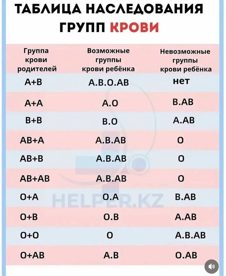 � ��� ��� ��� ��������� - 8